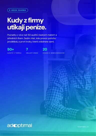 Obálka e-booku Kudy z firmy utíkají peníze
