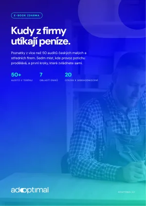 Obálka e-booku Kudy z firmy utíkají peníze